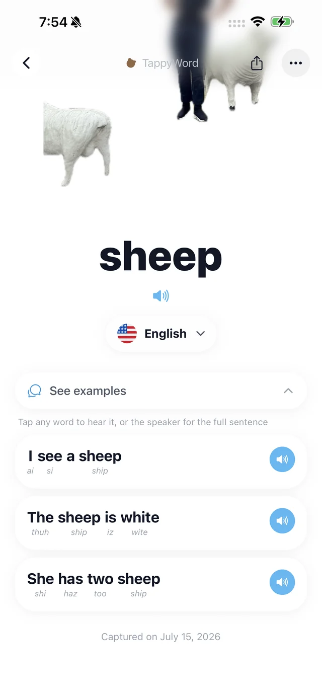 Example sentences using the captured word